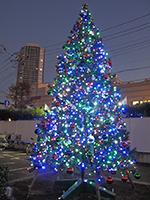 東京都東雲　4m クリスマスツリー