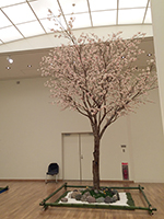 桜　人工樹木