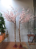 2017年4月 大阪 焼肉店 桜 人工樹木 高さ2.2m