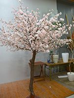 コンピューターゲーム イベント会場用 桜 人工樹木 高さ2.5m 幅2.5m × 2本
