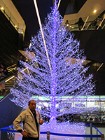 東京スカイツリー　634cm クリスマスツリー