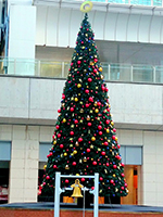世界の果てまでイッテQ　13m クリスマスツリー